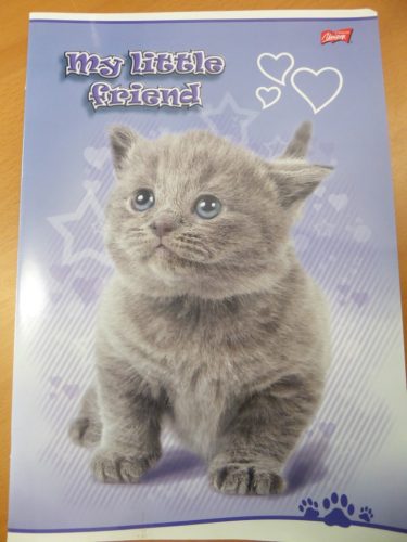 Állatos - My Little Friend Szürke cica A4 kockás füzet, margóval