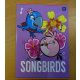 Angry Birds vonalas füzet, pink