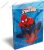 Keményfedeles notesz/Emlékkönyv, Spider-Man/Pókember Ultimate (A6)
