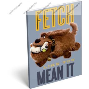   Papírfedeles notesz, A Kis kedvencek titkos élete/The secret Life of Pets (A6)